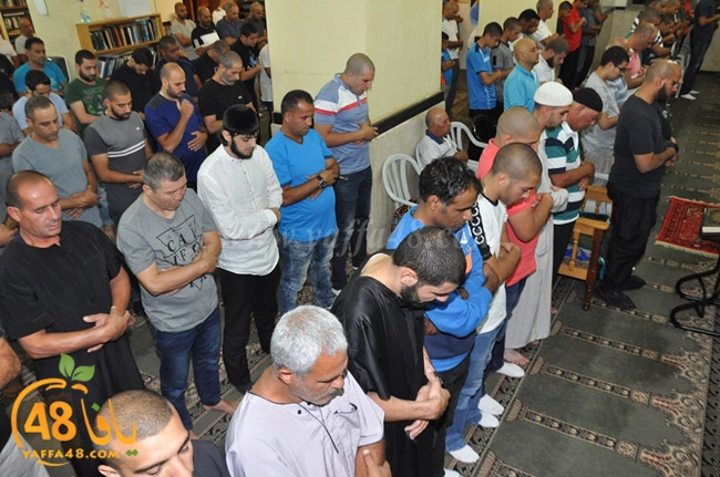 traw7 jabalayaua (1).JPG